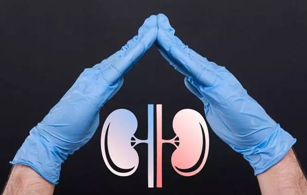 慢性肾炎（慢性肾小球肾炎）难治愈？有根治的可能吗？