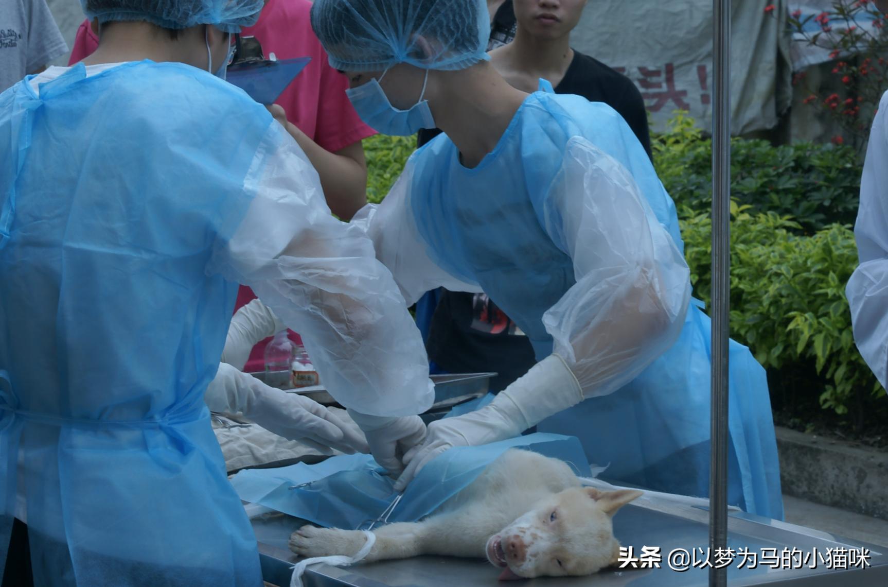 就业后薪资高的专科专业,专科毕业就业待遇最好的专业