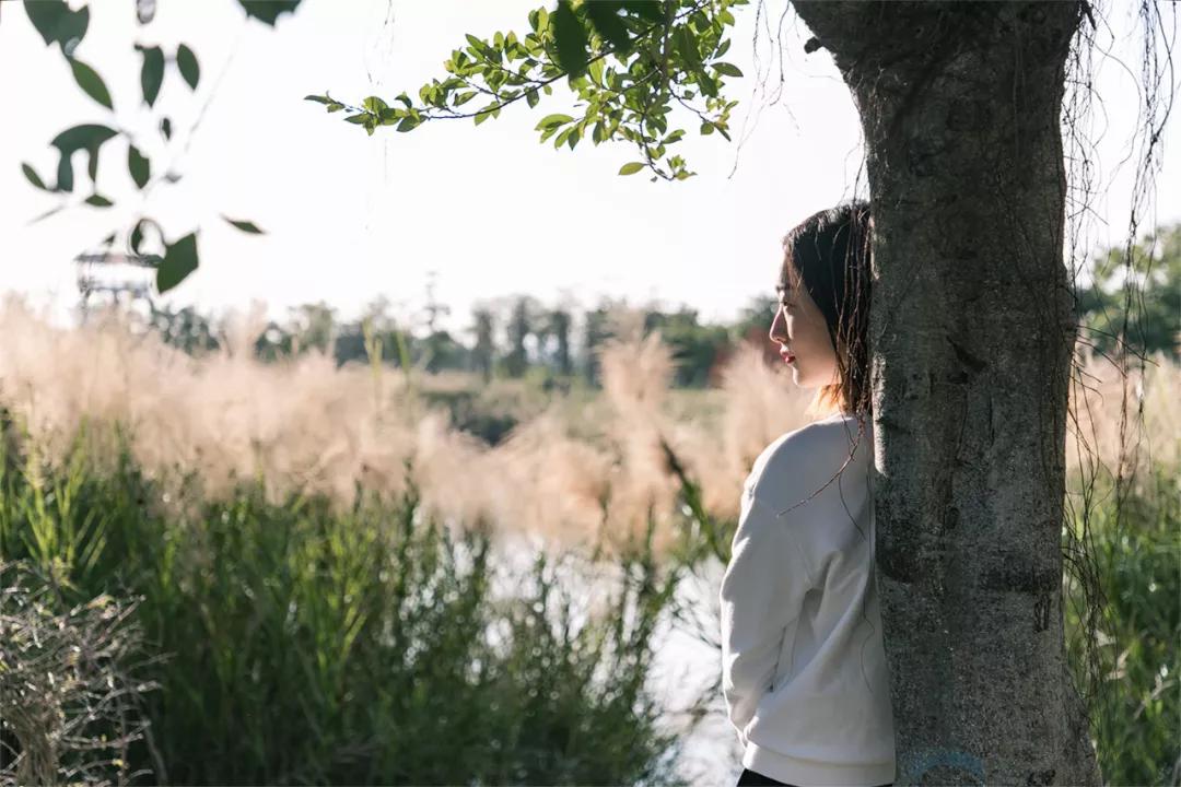 重庆轨道3号线,贵阳地铁3号线