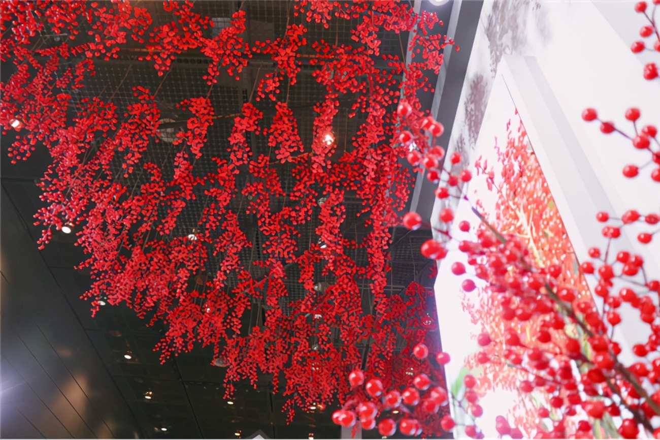 让人惊艳的花展,花展上看到的美到窒息