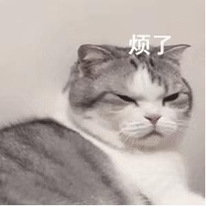 微信有像qq的功能吗,微信有什么功能和qq一样