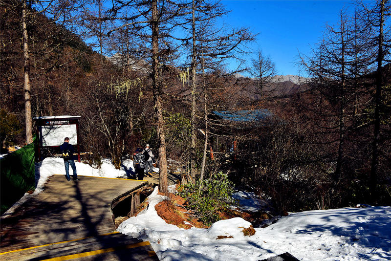 置身于童话中的九寨沟,畅游人间仙境黄龙九寨沟七日游
