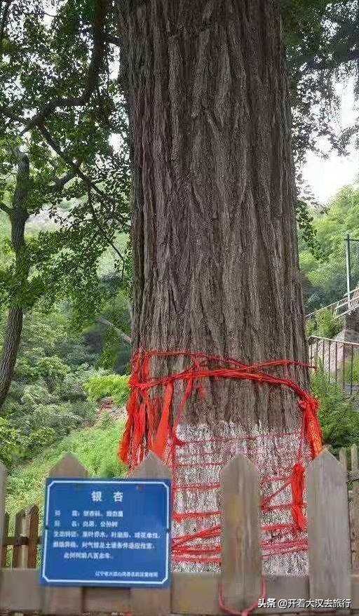 丹东大孤山的典故是什么,丹东大孤山真的特别灵吗