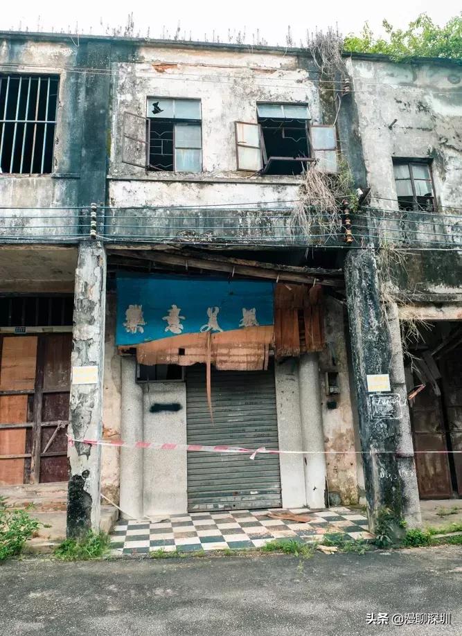 行走深圳歌曲,深圳观澜攻略