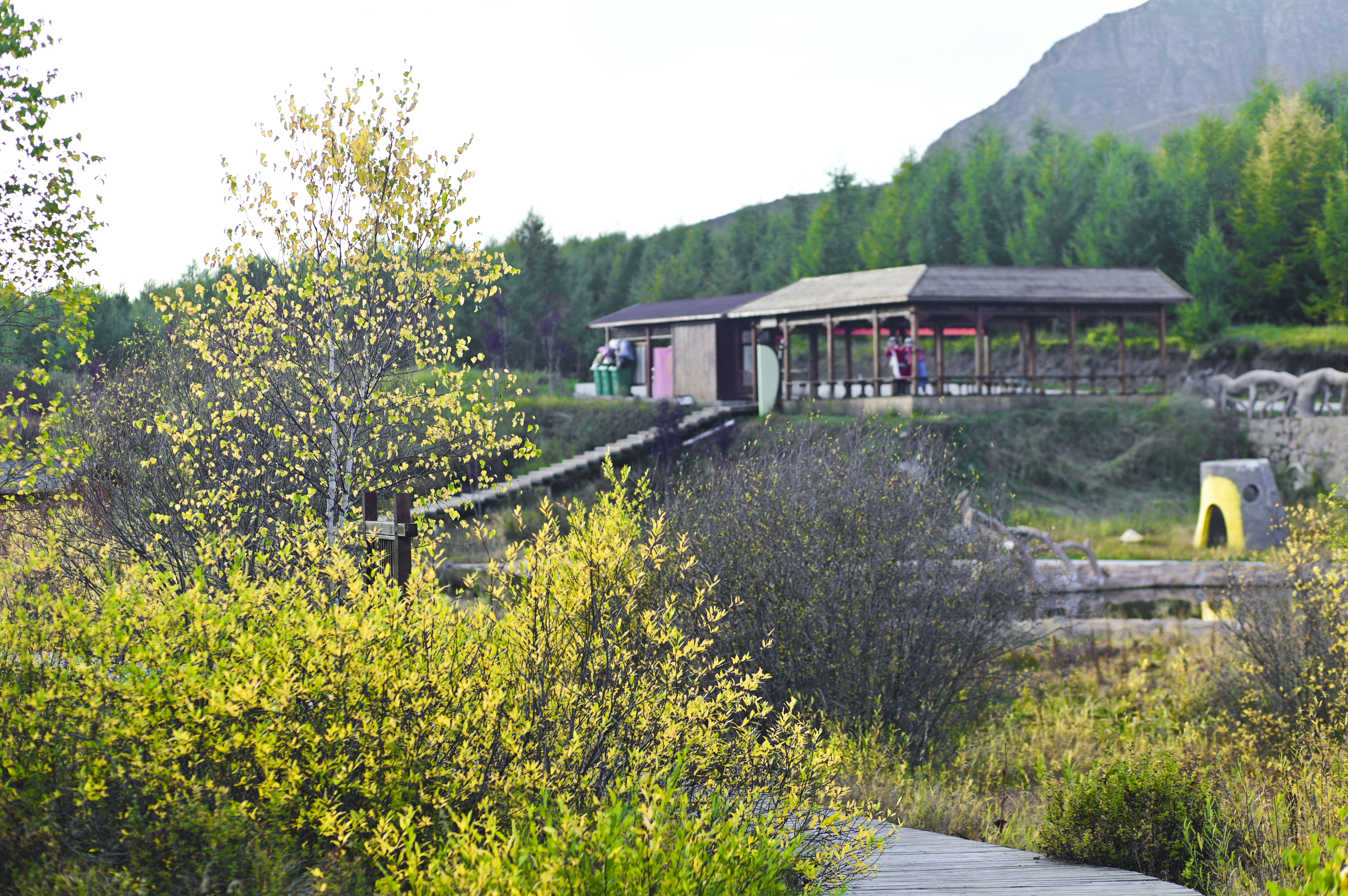 丰宁神仙谷七彩森林景区地图,丰宁坝上七彩森林游玩攻略