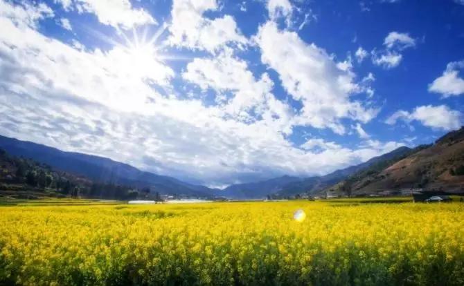 成都怎么过冬的,成都人冬天喜欢去哪过冬