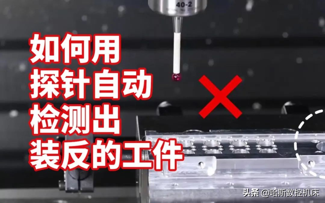 最受欢迎的哈斯,哈斯小贴士