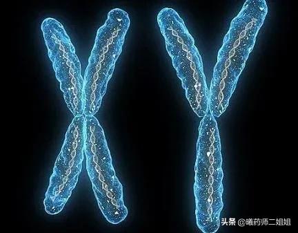 吃着火锅流了产,食材能背这个锅吗?细数真正流产原因