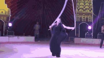 东南花都花博园全新升级鹿岛公园,东南花都花博园导览图