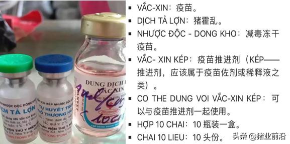 网上的假苗怎么辨别,植村秀小样如何辨别真假