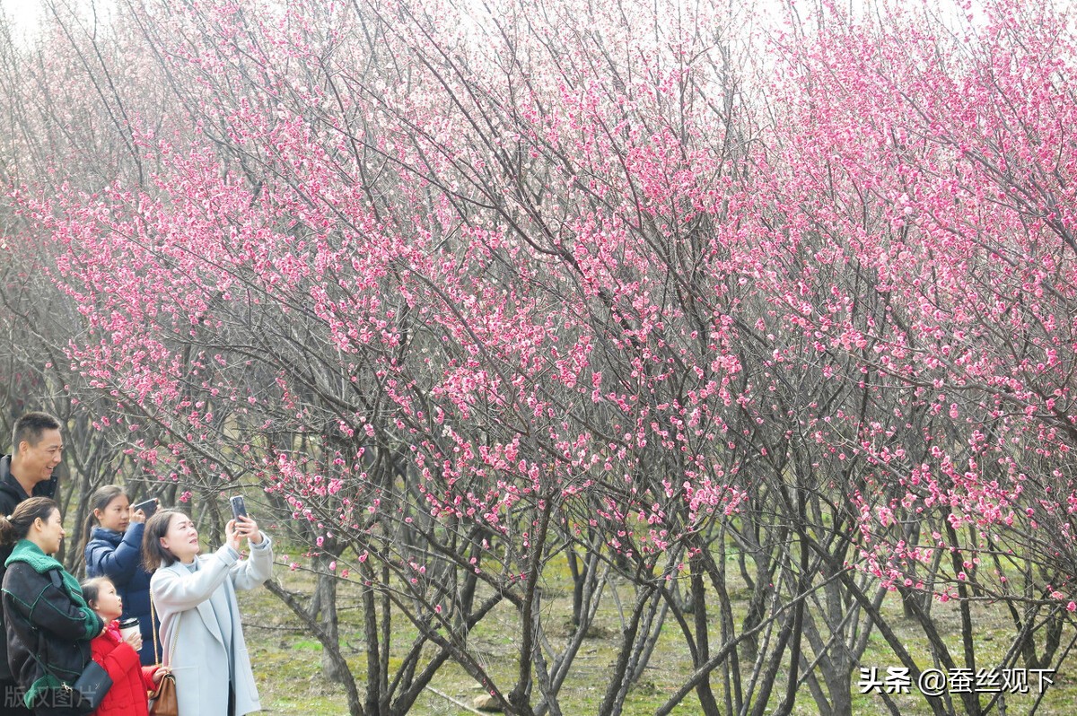 无锡宜兴百强县多少名,百强县排名宜兴有超过江阴的吗