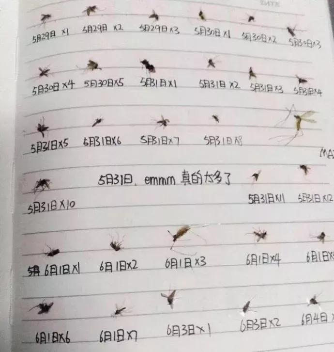 桃子水防蚊喷雾,好用点驱蚊产品