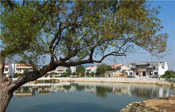 住在黄陂的人好幸福,住在黄陂的人真的很幸福吗