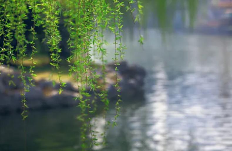 袁明忠|雪压梅枝梅压雪双铺锦地锦铺双(原创回文诗20组)