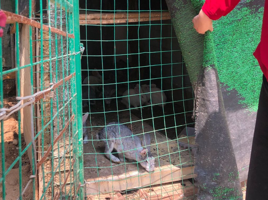 探访宜兴山区地下野味餐馆:依然有人顶风作案买卖穿山甲