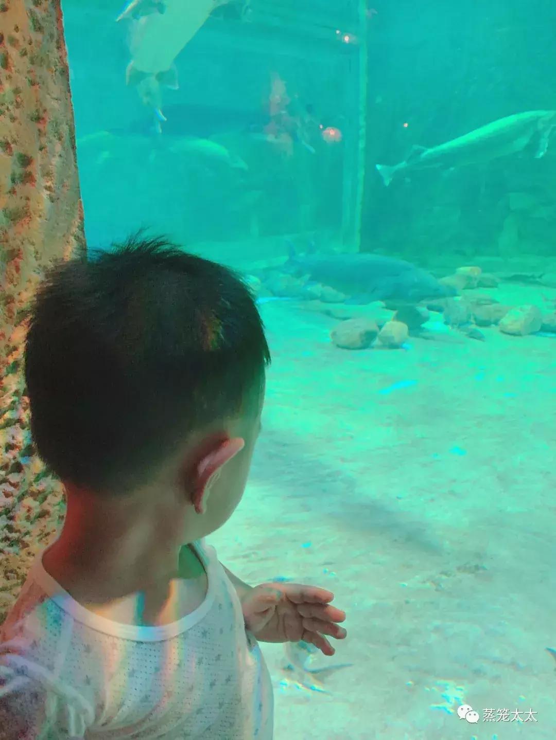 橡皮泥最好做的方法,橡皮泥买什么样的安全