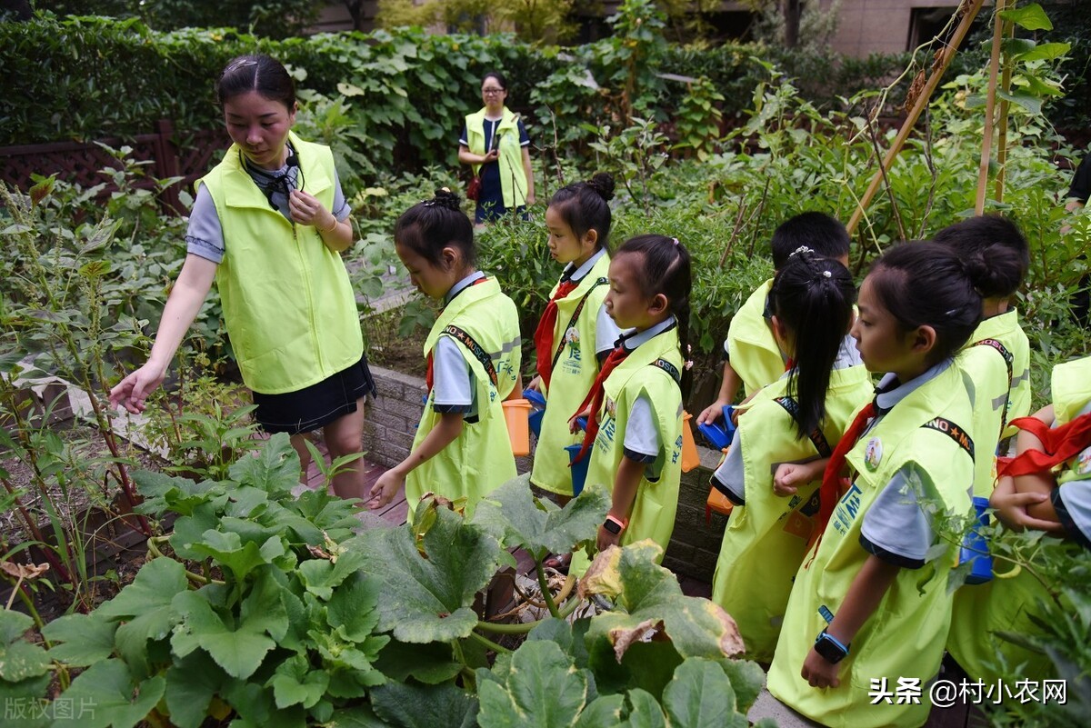 新农村创业适合做的几个生意项目,乡镇致富门路500条免费阅读
