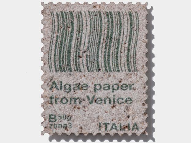 创意，不“纸”一面——纸的“多面人生”