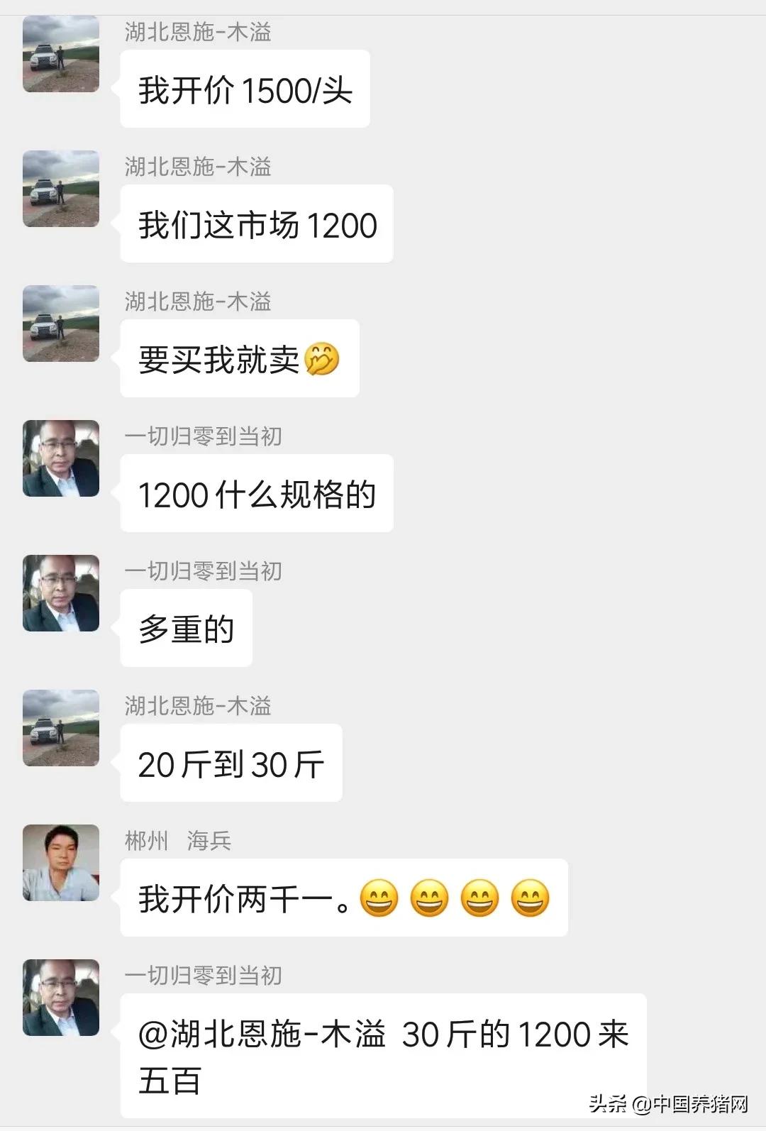 仔猪市场专门卖仔猪,求购150块钱一头仔猪