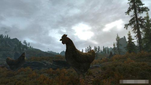 上古卷轴5杀鸡有什么好处,上古卷轴5有些什么有意思的玩法