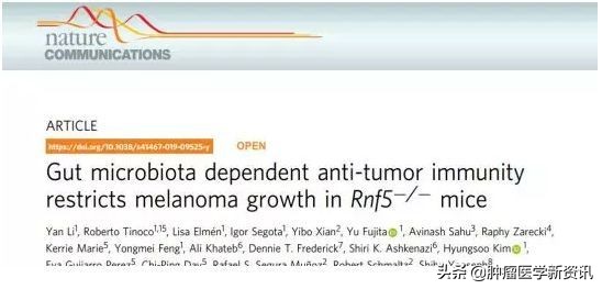 最新免疫疗法新消息,免疫疗法最近几年有大的发展吗
