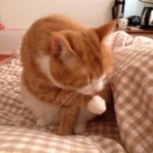 毁掉一张脸的三大行为,毁掉整张脸的方法