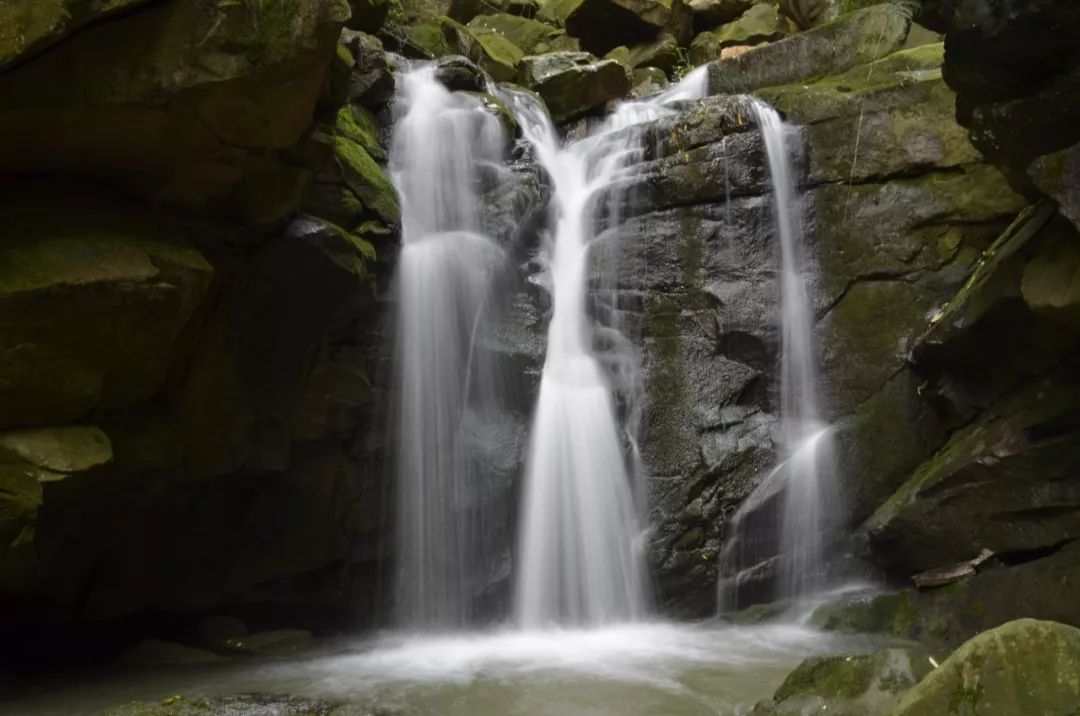 bw滤镜价格,bw滤镜哪里有正品