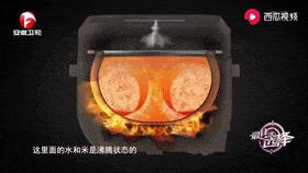 对比测评四款苏泊尔电饭煲,三千元日本电饭煲大比拼