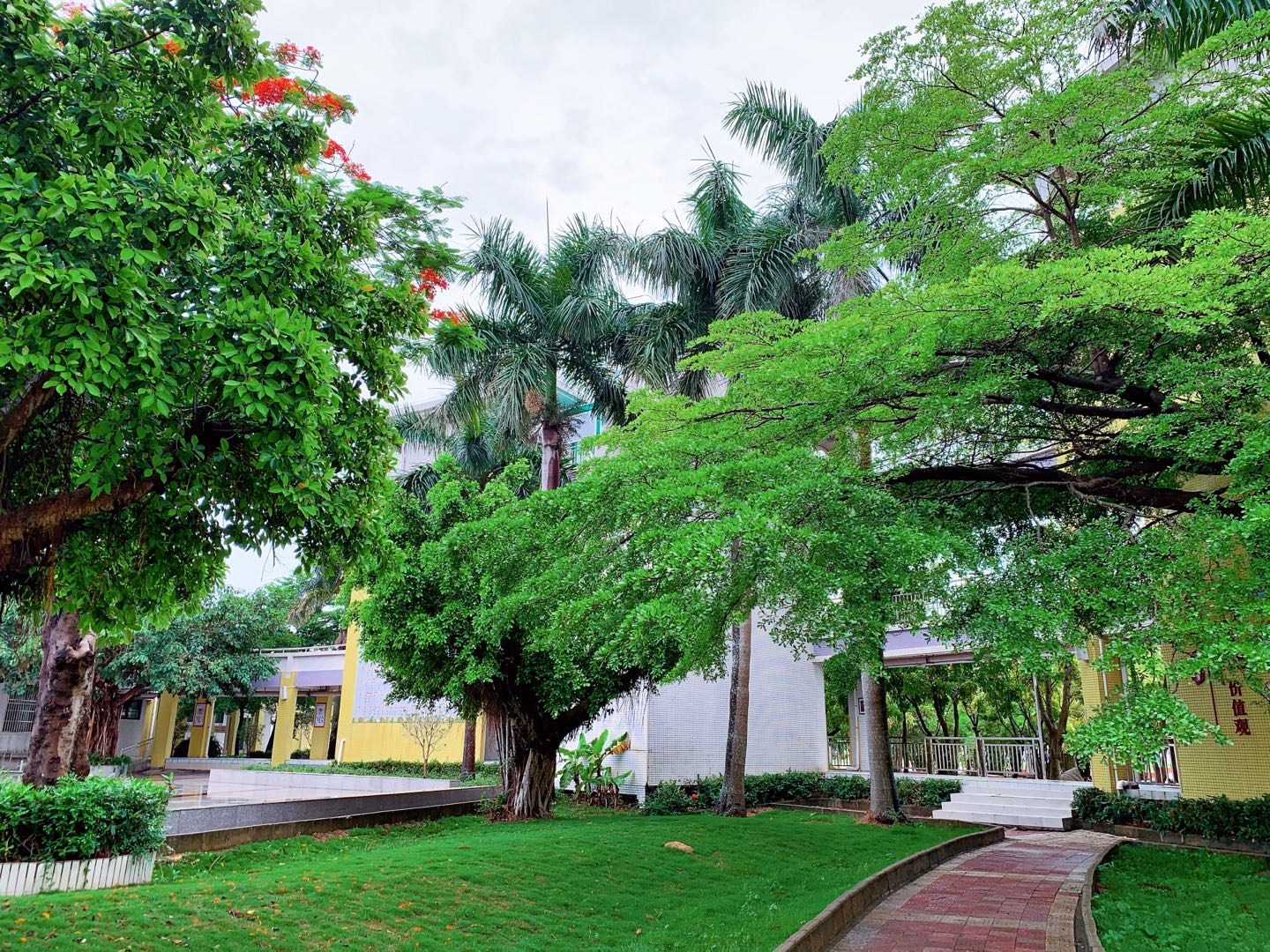 珠海市金湾区金湾一小,金湾一小照片