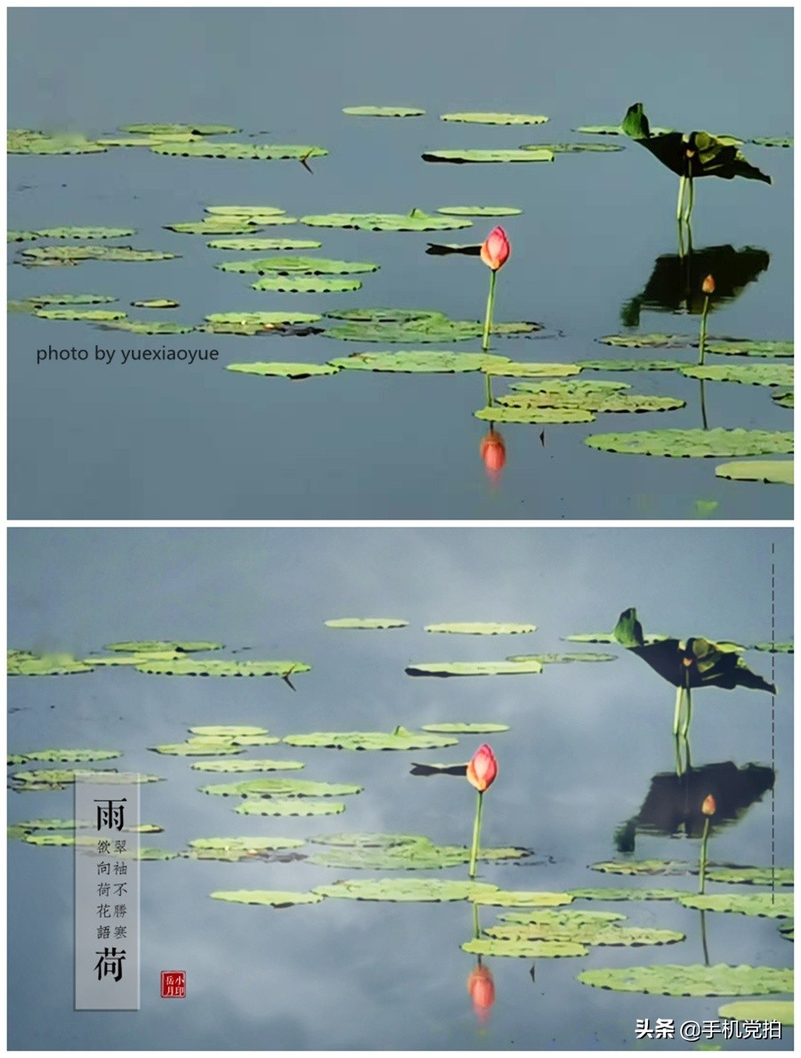 荷花开放加人像特效,荷花特效加照片