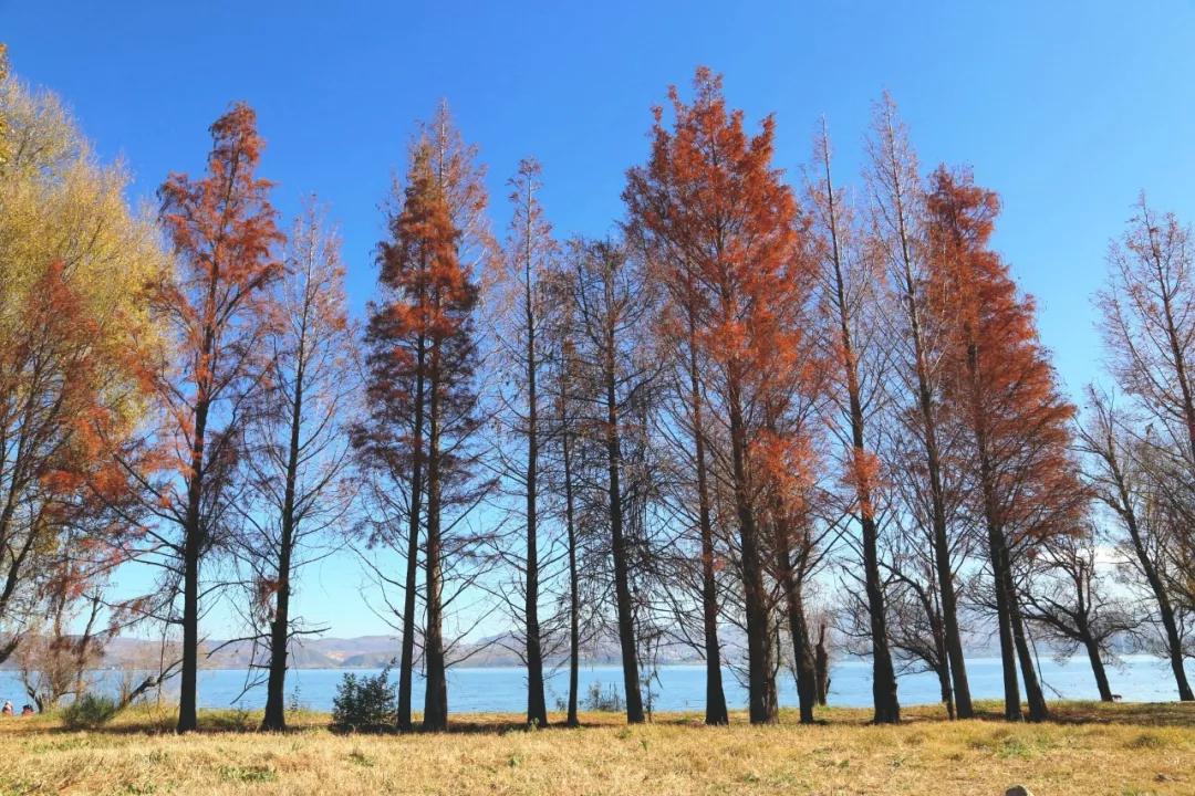 环海西路何时开工,环海路开放时间