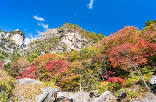 玩转日本,玩转日本自由行