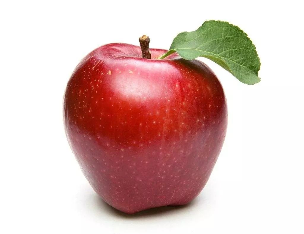 理解能力如何提高,如何强化理解能力