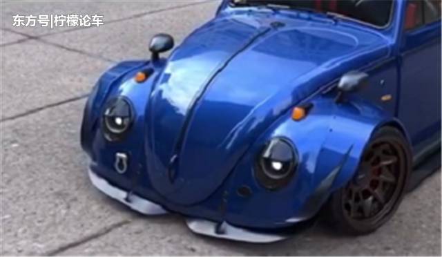 战斗款甲壳虫,甲壳虫战斗甲壳虫