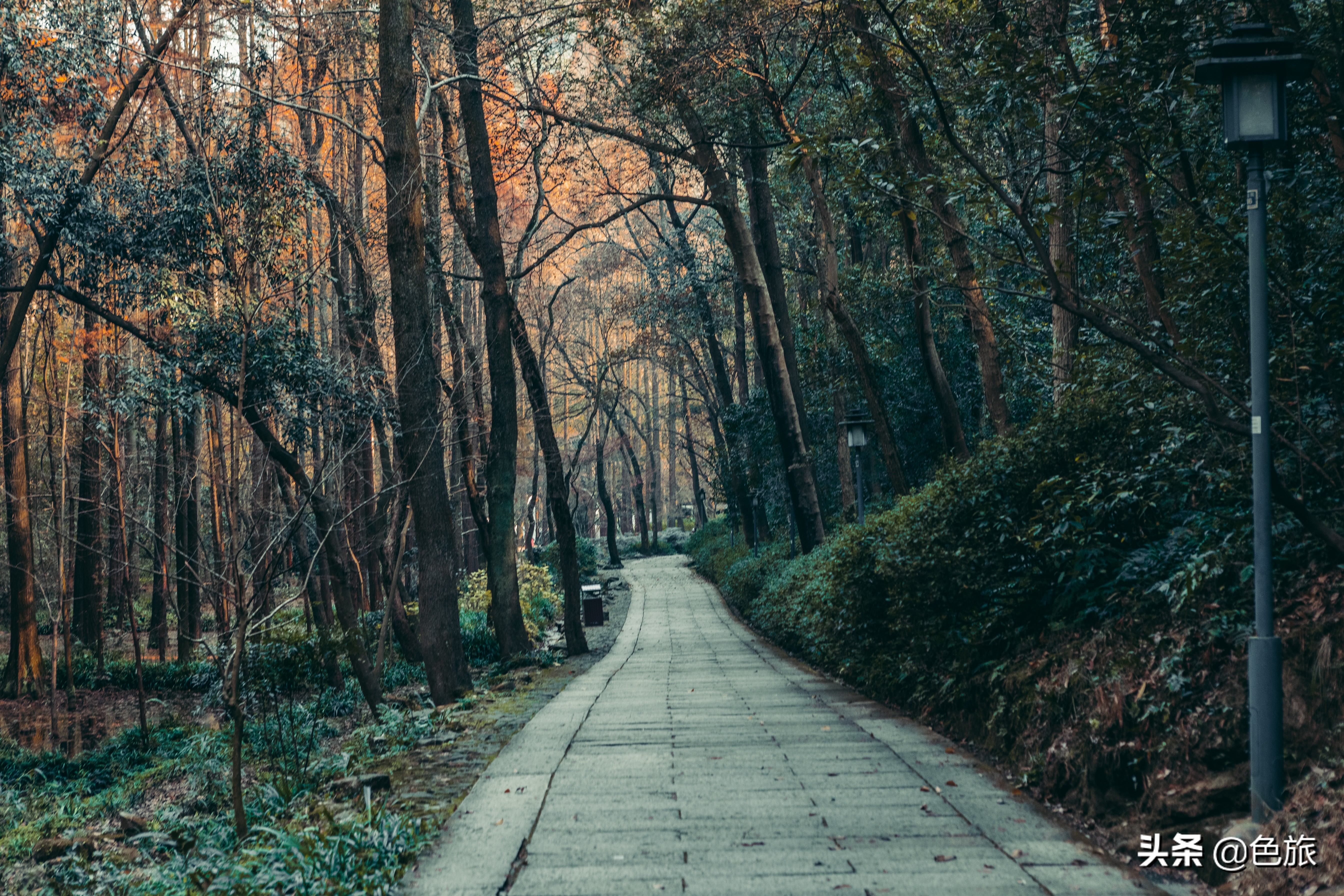 逆水寒游历虎跑梦泉怎么出葫芦,杭州游玩虎跑泉