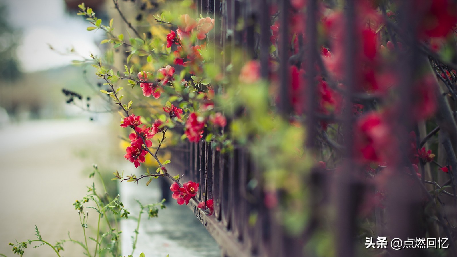 修心不在“上达”而在“下学”,历人世百态,炼心志坚!