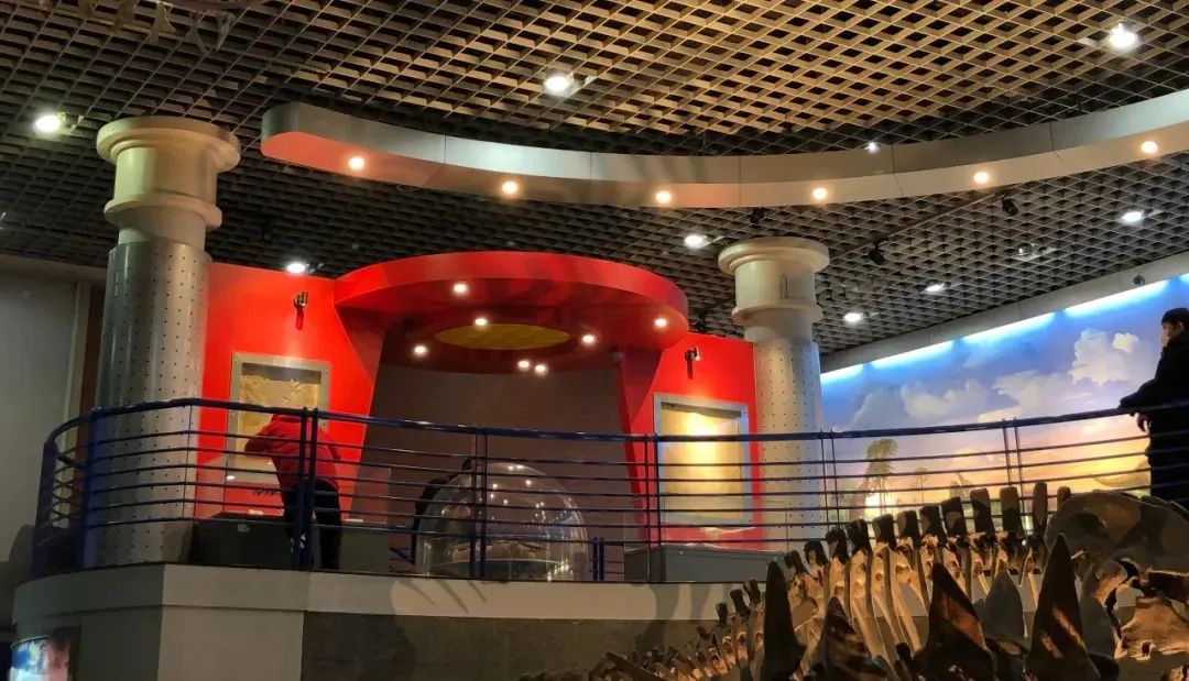 发现一亿年前的恐龙脚印,观往知来论据