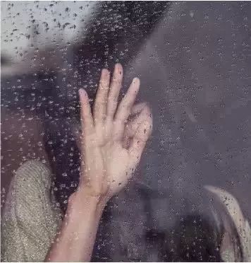 一夜春雨万物醒,一夜春雨滋润万物