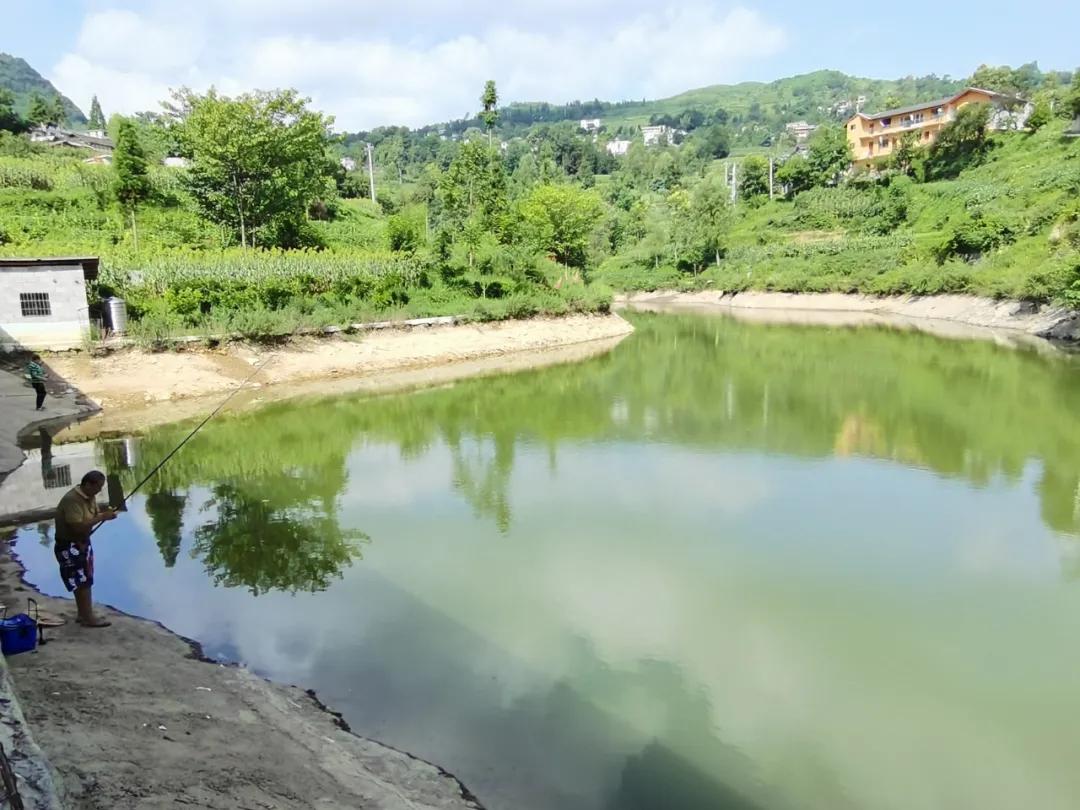 桐梓环境好的地方,桐梓森林氧吧