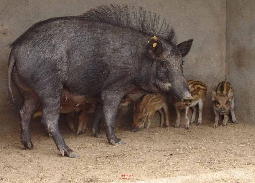 适合90后的创业项目,适合90后创业的项目小生意