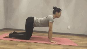 办公室久坐怎么治腰腿疼,久坐引起的背部肌肉酸痛如何缓解