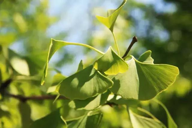 西法大青春力量,西法大