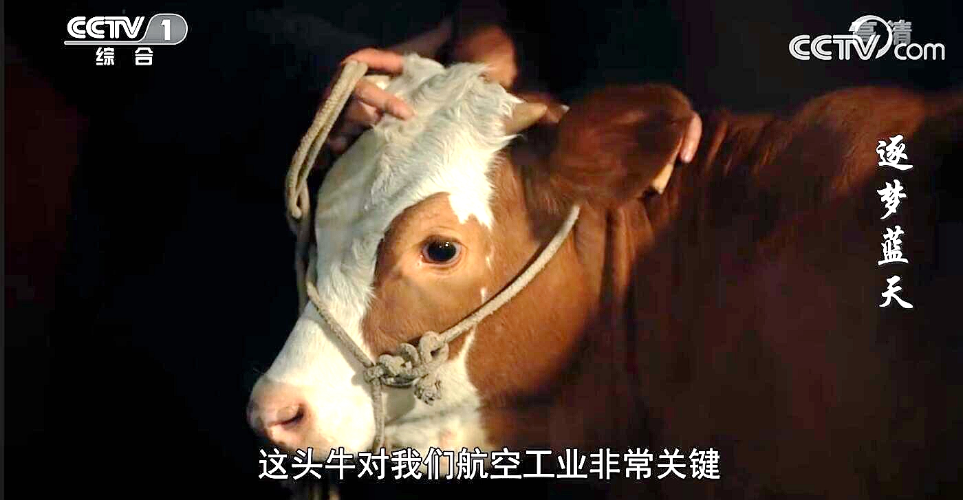 逐梦蓝天里的小孩,逐梦蓝天小朋友