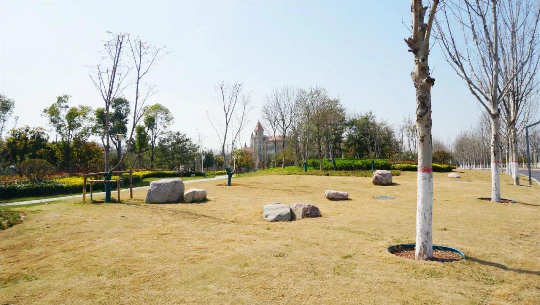 郑州免费游玩公园推荐,郑州新公园开放了吗