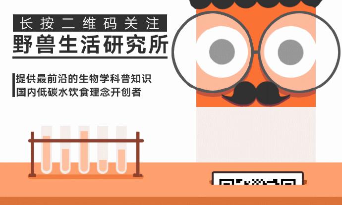 研究表明喝咖啡的好处,研究表明喝咖啡最好时间段