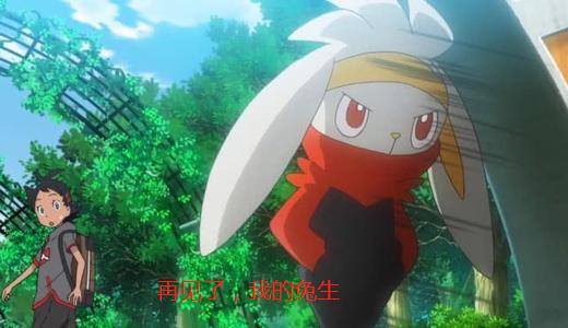 宝可梦界的贝克汉姆，帅气又能打，它是一日封神的闪焰王牌