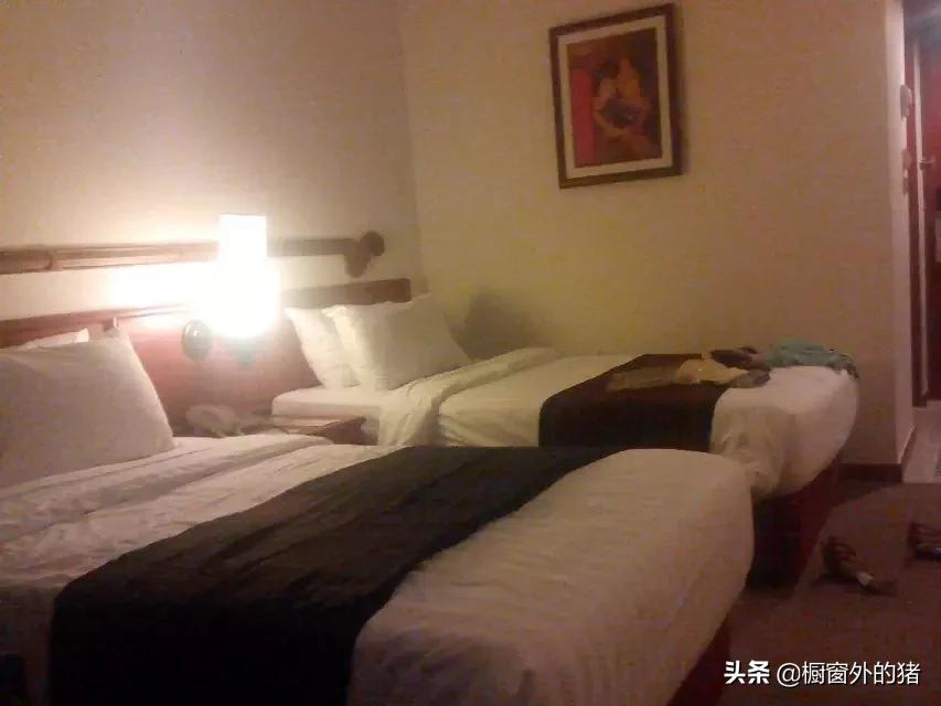 泰北玫瑰的英文,泰北玫瑰图片