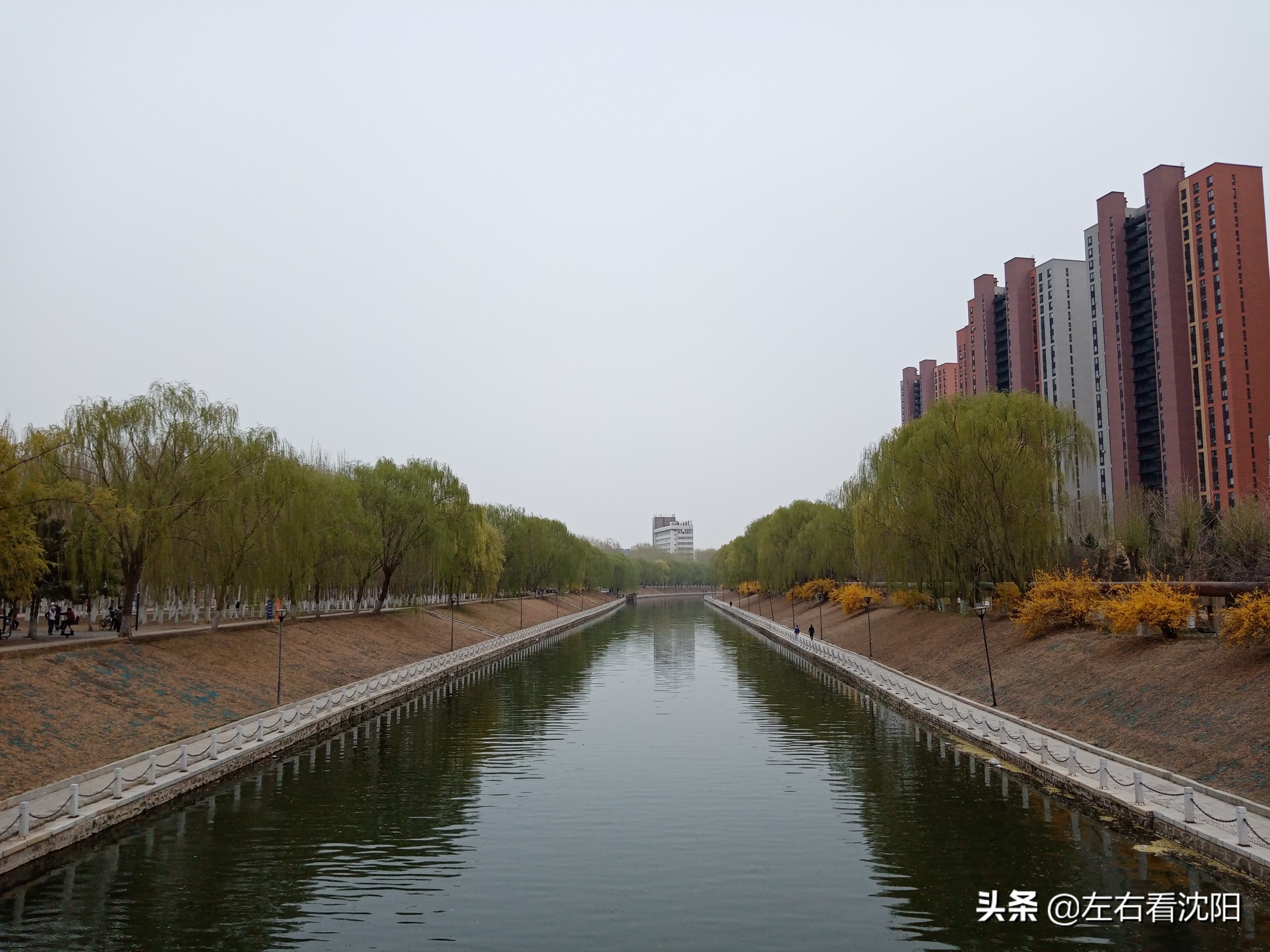 沈阳黎明公园,沈阳大东区黎明公园