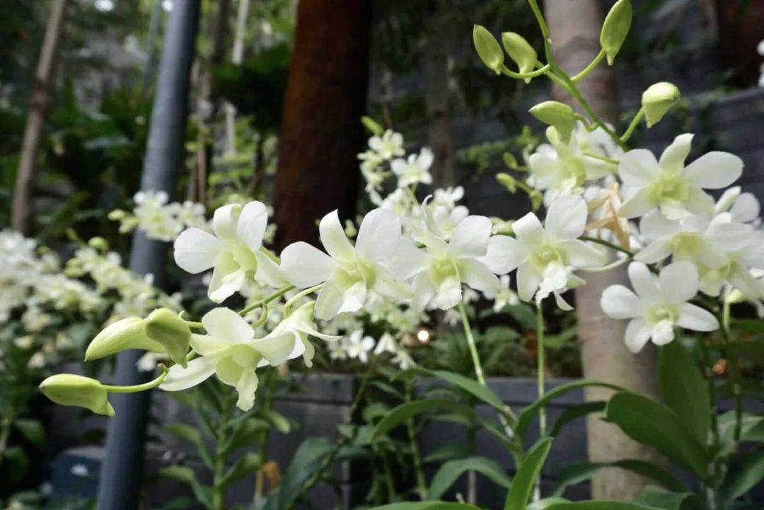 航空界的奥斯卡！2019全球最佳机场Top10，第一名竟然是它？