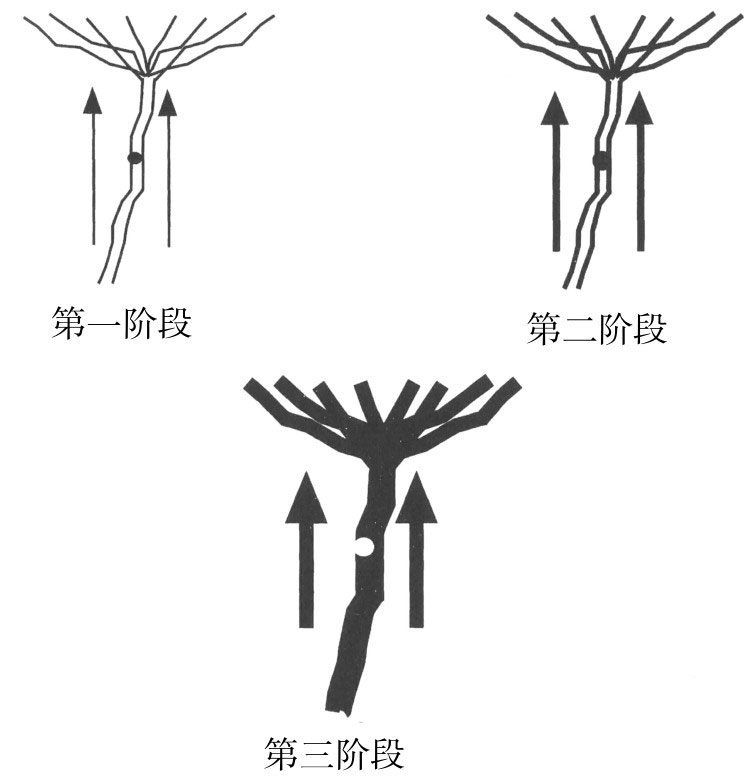 成年人经不起挫折怎么办,如何面对人生不可逆的困境